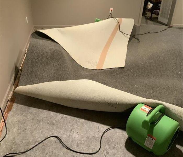float carpet 