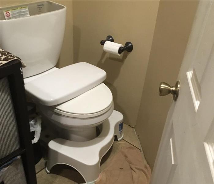 malfunctioning toilet