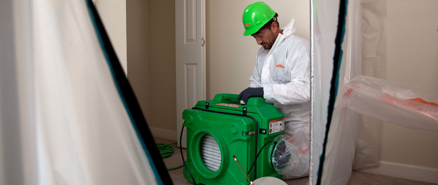 Paramus, NJ mold cleanup