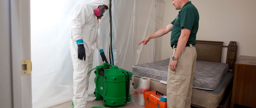 Paramus, NJ mold removal process